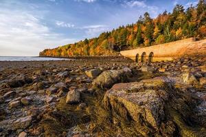 bellissimo autunno colori di acadia nazionale parco nel Maine foto