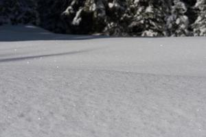 sfondo di neve invernale foto