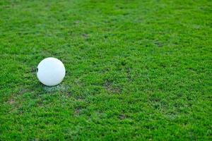 calcio palla su erba a obbiettivo e stadio nel sfondo foto