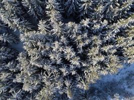 inverno paesaggio Visualizza foto