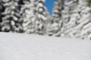 sfondo di neve invernale foto