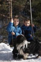 ritratto di poco ragazzi a inverno giorno foto