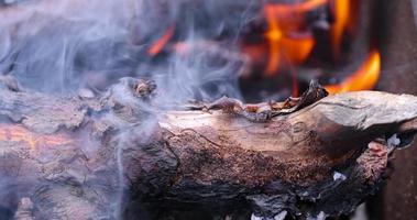 un' fuoco fatto di logs mentre cucinando barbecue su vacanza a il fine settimana foto