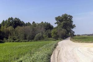 rurale strada per macchine e trasporto foto