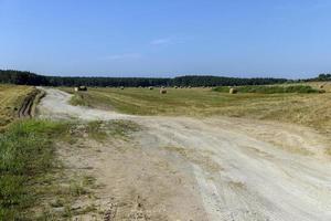 rurale strada per macchine e trasporto foto