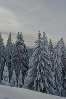 paesaggio montano invernale foto