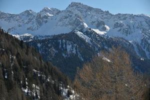 natura invernale di montagna foto