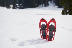 inverno scarpe da neve Visualizza foto