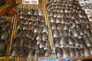 tailandese frutti di mare asciutto pesce foto
