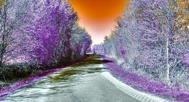 bellissimo viola infrarosso paesaggio nel alto risoluzione foto