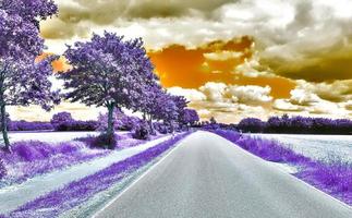 bellissimo viola infrarosso paesaggio nel alto risoluzione foto