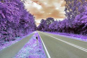 bellissimo viola infrarosso paesaggio nel alto risoluzione foto