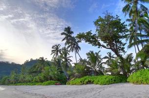 soleggiato giorno spiaggia Visualizza su il Paradiso isole Seychelles foto