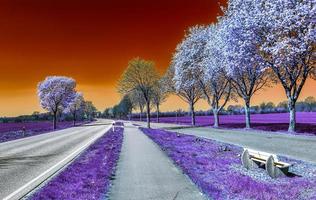 bellissimo viola infrarosso paesaggio nel alto risoluzione foto