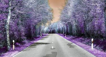 bellissimo viola infrarosso paesaggio nel alto risoluzione foto