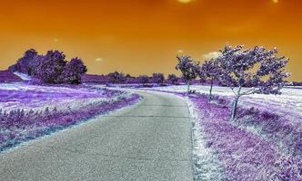 bellissimo viola infrarosso paesaggio nel alto risoluzione foto