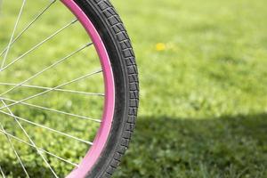 rosa bordo e protettore. ruota contro sfondo di prato. foto