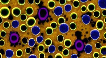 batteri virus o germi microrganismo cellule. interpretazione foto