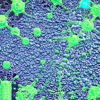 realistico microscopico virus di vario forma su blu sfocato sfondo senza soluzione di continuità modello illustrazione foto