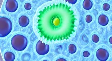 batteri virus o germi microrganismo cellule. interpretazione foto