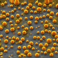 batteri e virus su superficie di pelle, mucoso membrana o intestino, modello di signori, HIV, influenza, escherichia coli, salmonella, klebsiella, legionella, micobatterio tubercolosi, modello di microbi foto