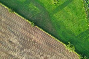 alto angolo Visualizza di mucche pascolo su campo contro cielo. bellissima alto angolo aereo Visualizza di animale azienda agricola a Britannico agricolo campo vicino Londra Inghilterra grande Gran Bretagna di UK foto