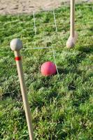 gioco di croquet su verde prato foto