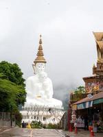 bianca Budda e nebbia foto