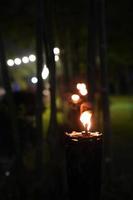 vicino torcia e fuoco nel giardino notturno. foto