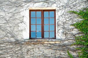finestra nel all'aperto parete di Casa coperto di vegetazione di edera foto