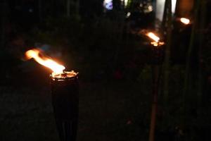 vicino torcia e fuoco nel giardino notturno. foto