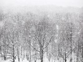 forte nevicando al di sopra di boschi nel inverno foto