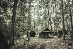 vecchio di legno Villetta nel il foresta foto