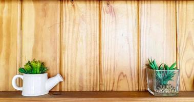 decorare verde pianta nel un' bicchiere fiore pentola con cactus nel un' bianca irrigazione ceramica fiore pentola su di legno tavolo e parete sfondo. foto