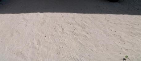 il sabbia pavimento con il ombra di il sole su superiore con il impronte di persone su il sabbia, il Immagine di panorama Visualizza foto