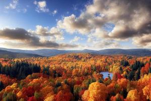 autunno ancora vita - zucche, autunno le foglie e physalis foto