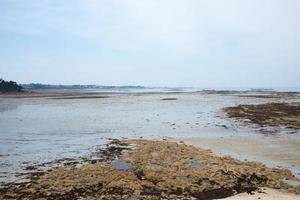 paesaggio marino con no le persone. alga marina. Francia foto