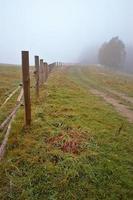 solitario strada nel nebbia foto