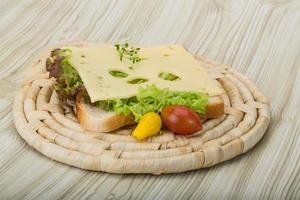 Sandwich con formaggio foto