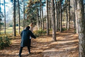 scienziati siamo studiando pianta specie nel il foresta. foto