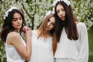 tre affascinante ragazze nel un' giardino foto