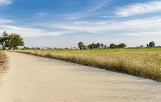 il paesaggio e il strada con cielo e nuvole, radura giorno e bene tempo metereologico nel il mattina. foto