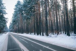 foresta durante inverno con pittoresco strada attraverso esso foto