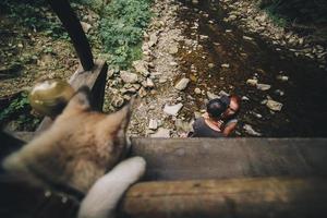 bellissimo coppia su il sfondo di foresta foto