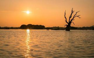 il iconico morto albero di u bein ponte nel taungthaman lago vicino amarapura nel Myanmar. foto