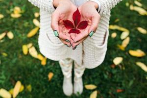 foglie di autunno nelle mani della ragazza foto