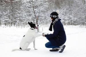 grande nero bianco cane è dando un' zampa suo proprietario su un' sfondo di inverno nevoso foresta. foto