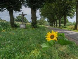 nel il Tedesco Münsterland foto