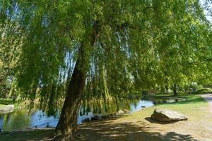 il villaggio di weseke nel westfalia foto