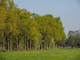 escursioni a piedi vicino reken nel il Tedesco Münsterland foto